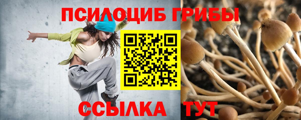 Псилоцибиновые грибы Magic Shrooms Вязники