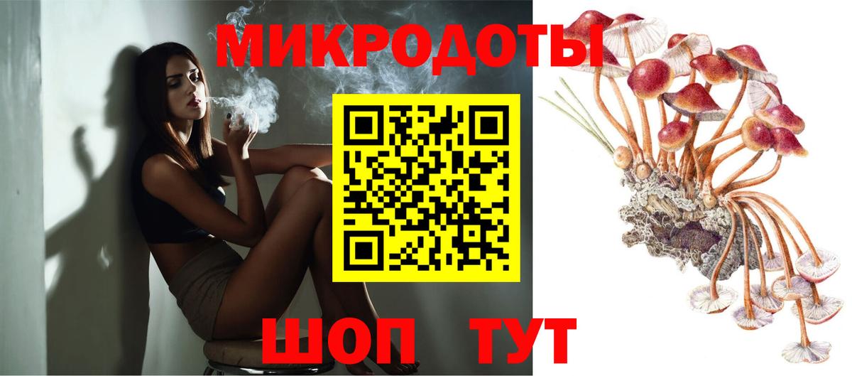 Галлюциногенные грибы Psilocybe  Галлюциногенные грибы прущие грибы  Вход с VPN  Вязники 